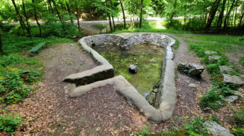 Kraków Valleys - Eliaszówka Valley