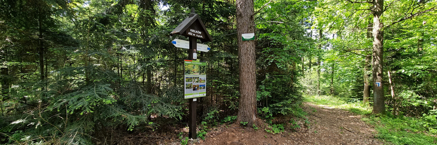 Świętokrzyskie Mountains - Kieł Hill
