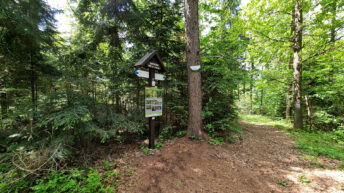 Świętokrzyskie Mountains - Kieł Hill