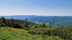 High Ash Mountains - Šerák Mountain
