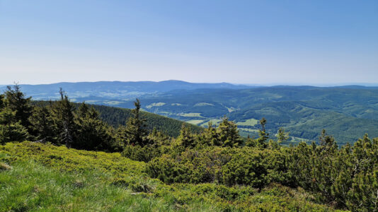 High Ash Mountains - Šerák Mountain