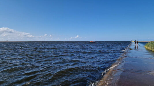 Vistula Spit - Vistula Mouth,