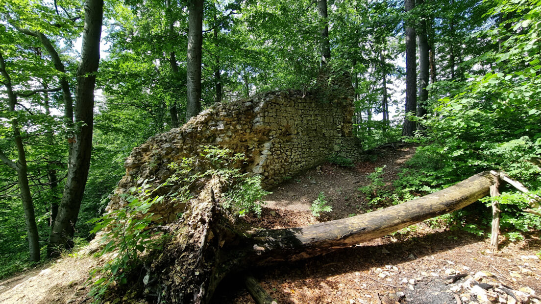 Kraków-Częstochowa Upland - Udórz Castle
