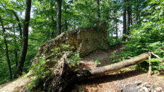 Kraków-Częstochowa Upland - Udórz Castle