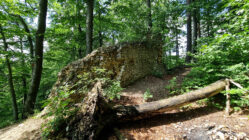 Kraków-Częstochowa Upland - Udórz Castle