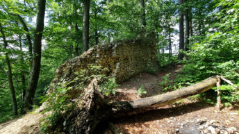 Kraków-Częstochowa Upland - Udórz Castle