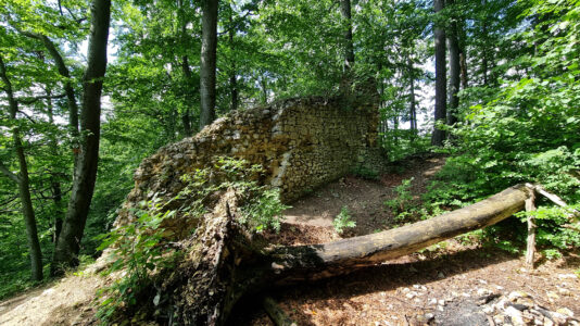 Kraków-Częstochowa Upland - Udórz Castle