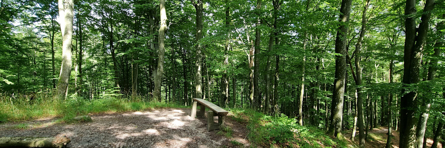 Elbląg Heights - Belweder Hill