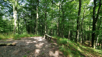 Elbląg Heights - Belweder Hill