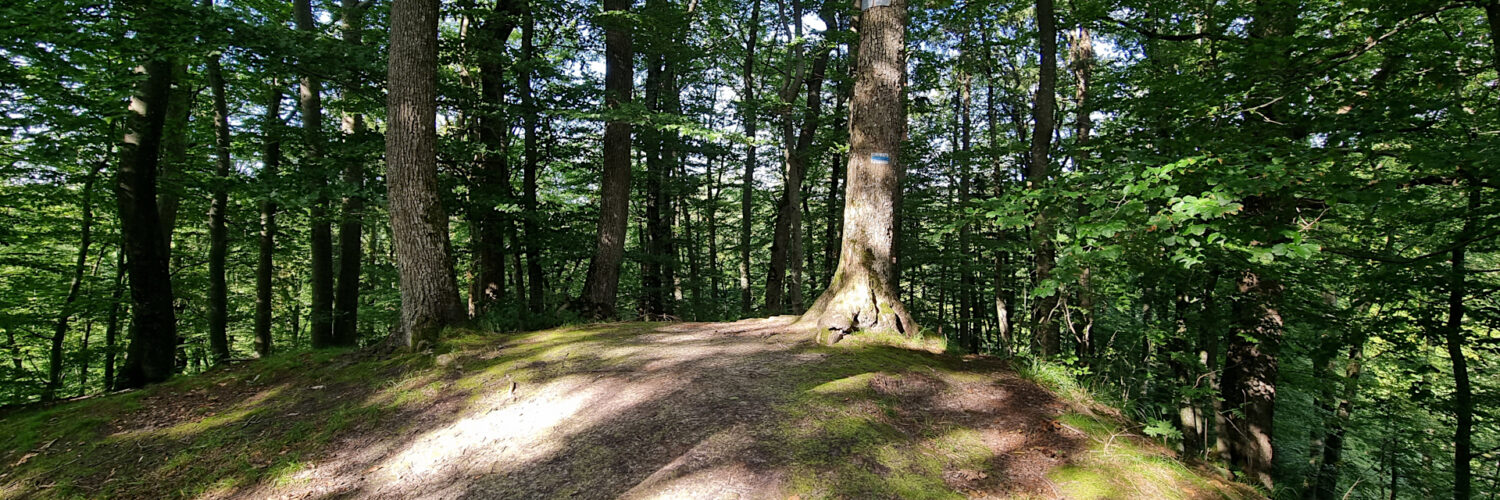 Elbląg Heights - Temple of Meditation Hill