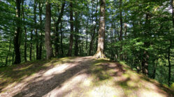 Elbląg Heights - Temple of Meditation Hill