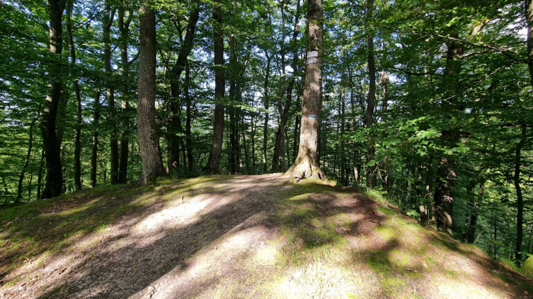 Elbląg Heights - Temple of Meditation Hill