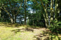 Mały Beskid Mountains - Groń Jana Pawła II Mountain