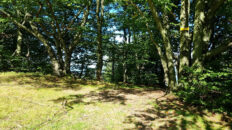 Mały Beskid Mountains - Groń Jana Pawła II Mountain