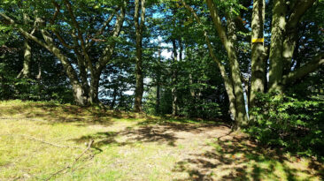 Mały Beskid Mountains - Groń Jana Pawła II Mountain