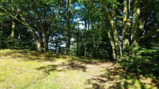 Mały Beskid Mountains - Groń Jana Pawła II Mountain