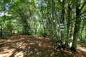Low Beskid Mountains - Obycz Mountain