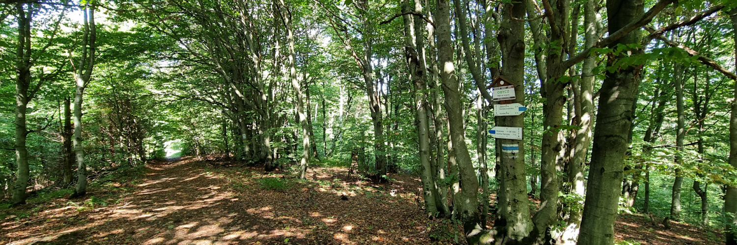 Low Beskid Mountains - Obycz Mountain