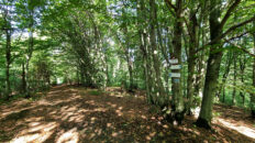 Low Beskid Mountains - Obycz Mountain