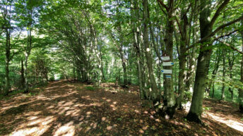 Low Beskid Mountains - Obycz Mountain