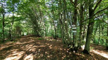 Low Beskid Mountains - Obycz Mountain