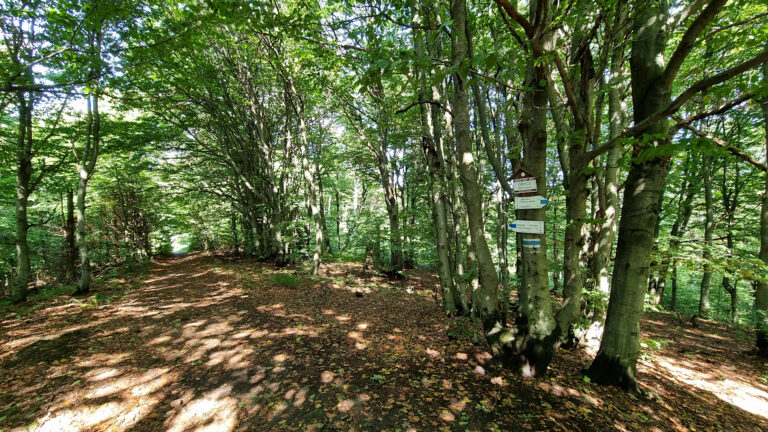 Low Beskid Mountains - Obycz Mountain