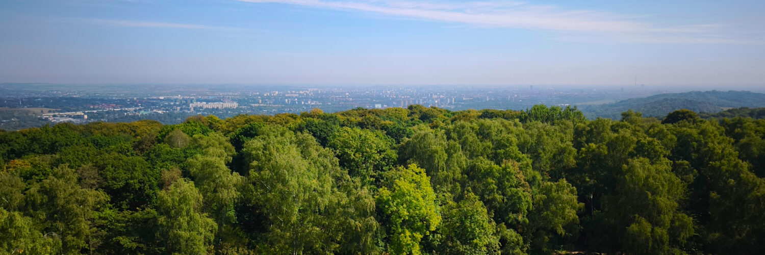 Kraków Bridge - Wolski Forest