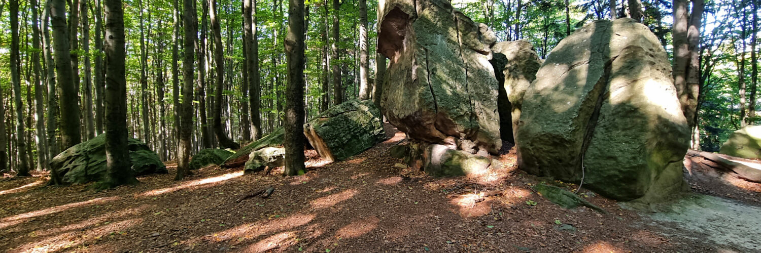 Świętokrzyskie Mountains - Bukowa Góra