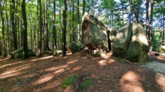 Świętokrzyskie Mountains - Bukowa Góra
