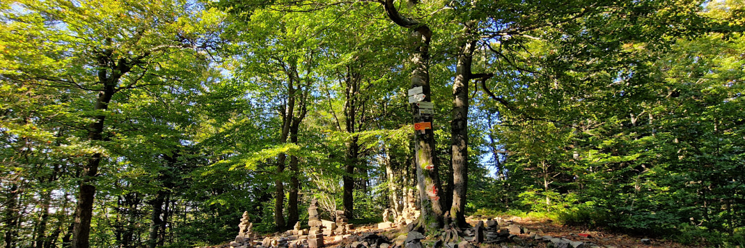 Moravian-Silesian Beskids - Tanečnice Mountain