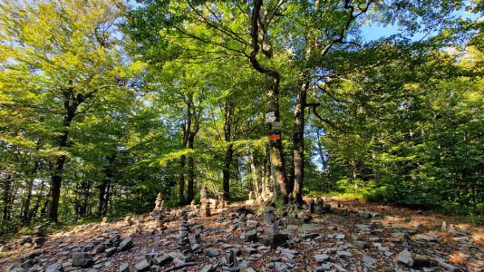 Moravian-Silesian Beskids - Tanečnice Mountain