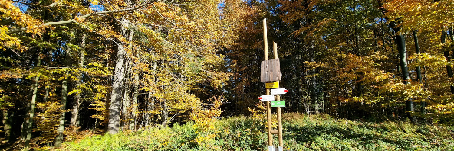 Low Beskid Mountains - Kolanin Mountain