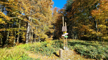 Low Beskid Mountains - Kolanin Mountain