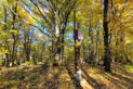 Low Beskid Mountains - Magura Mountain