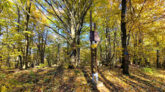 Low Beskid Mountains - Magura Mountain