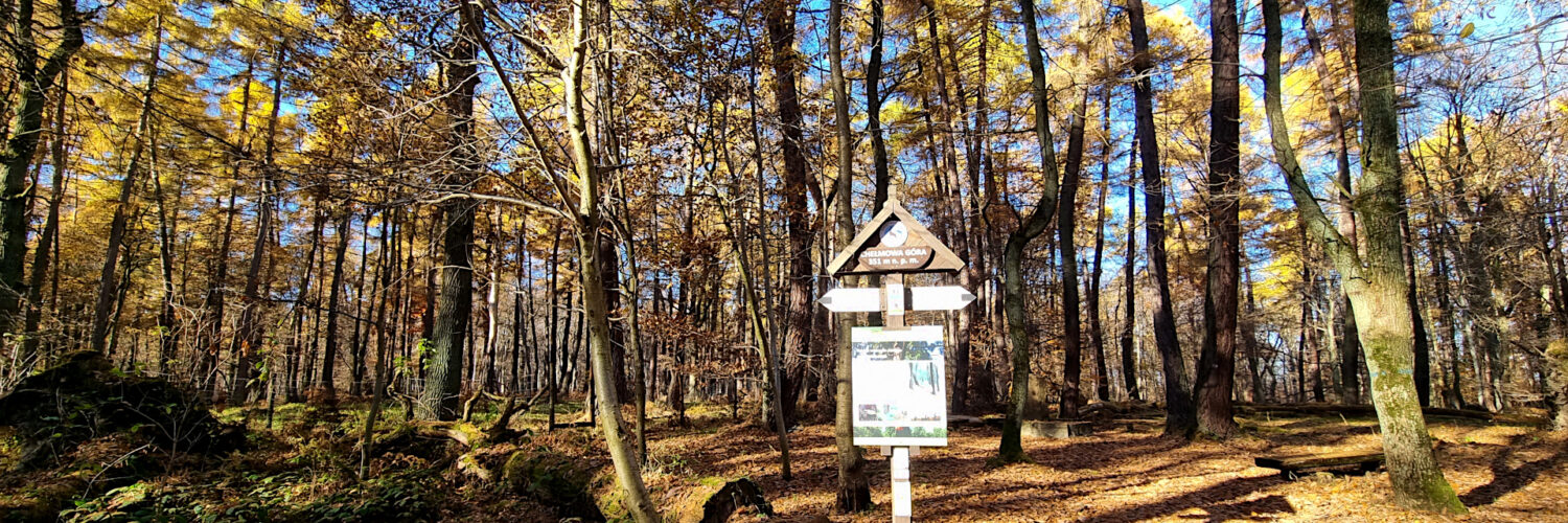 Świętokrzyskie Mountains - Mount Chełmowa