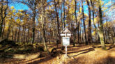 Świętokrzyskie Mountains - Mount Chełmowa