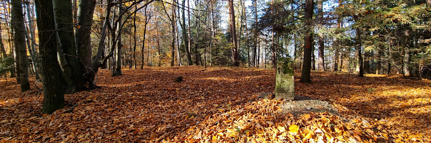 Wieliczka Foothills - Bukowiec Range