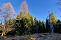 Mały Beskid Mountains - Jawornica Mountain