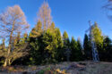 Mały Beskid Mountains - Jawornica Mountain