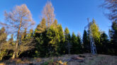 Mały Beskid Mountains - Jawornica Mountain