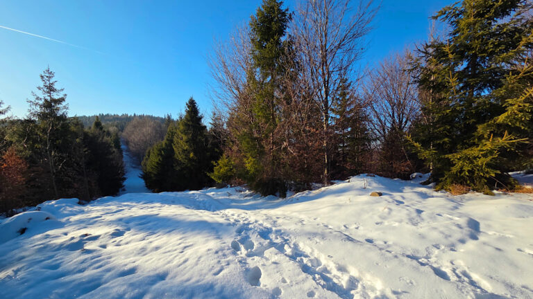 Żywiec-Kysuce Beskid Mountains - Kozia Grapa Mountain