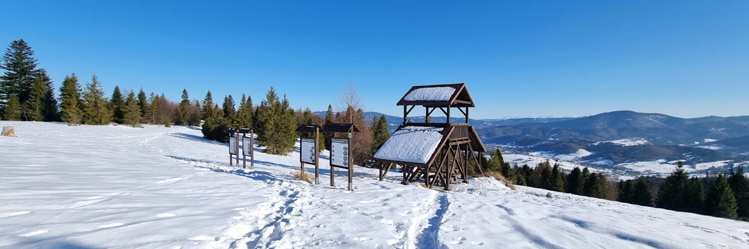 Żywiec-Kysuce Beskid Mountains - Rachowiec Mountain