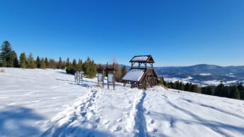 Żywiec-Kysuce Beskid Mountains - Rachowiec Mountain