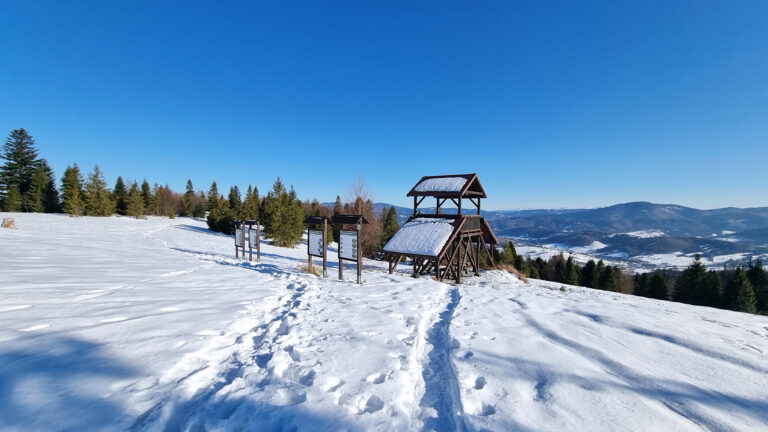 Żywiec-Kysuce Beskid Mountains - Rachowiec Mountain
